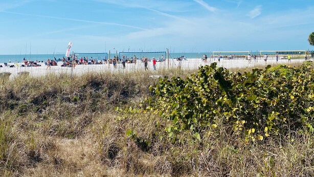 A beach with people, a volleyball net, and a flag.