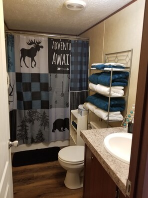 Combined shower/tub, hair dryer, towels, soap