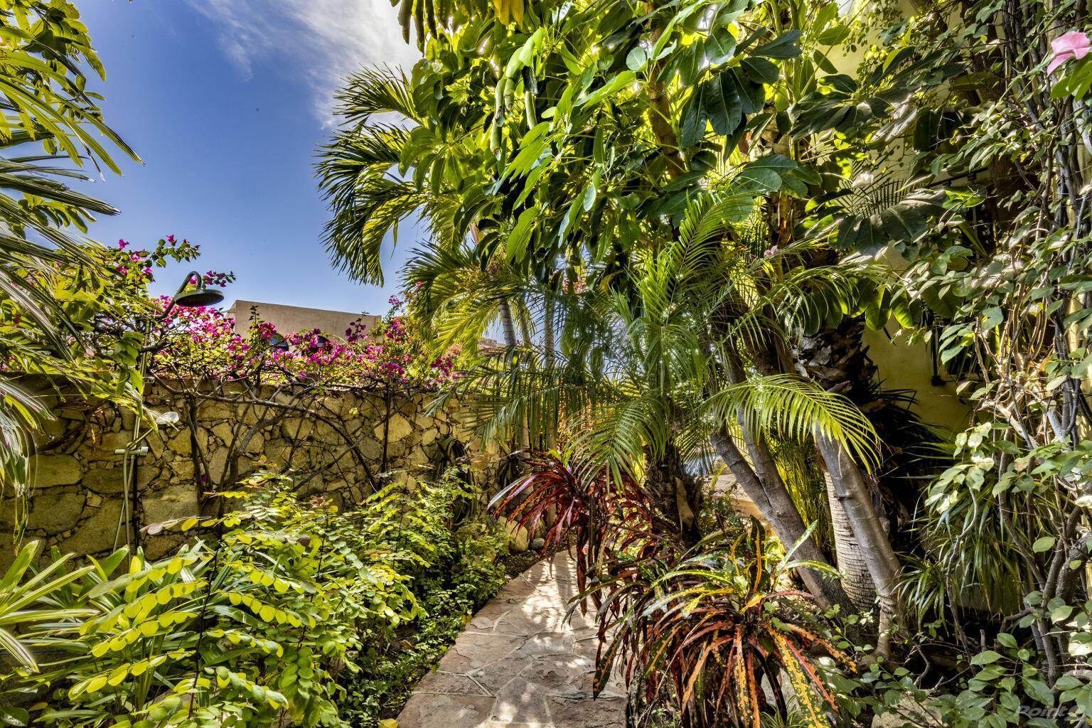 Un stretto sentiero in pietra incorniciato da rigogliosa vegetazione tropicale e un muro di pietra.