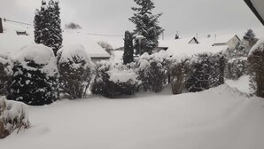 Ein verschneiter Wohnbereich mit Häusern und dichter Strauchbepflanzung.