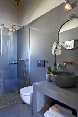 Regadera, secadora de cabello, bidet, toallas 