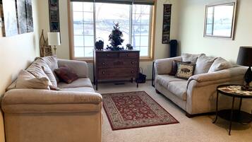 智能电视、DVD 播放器