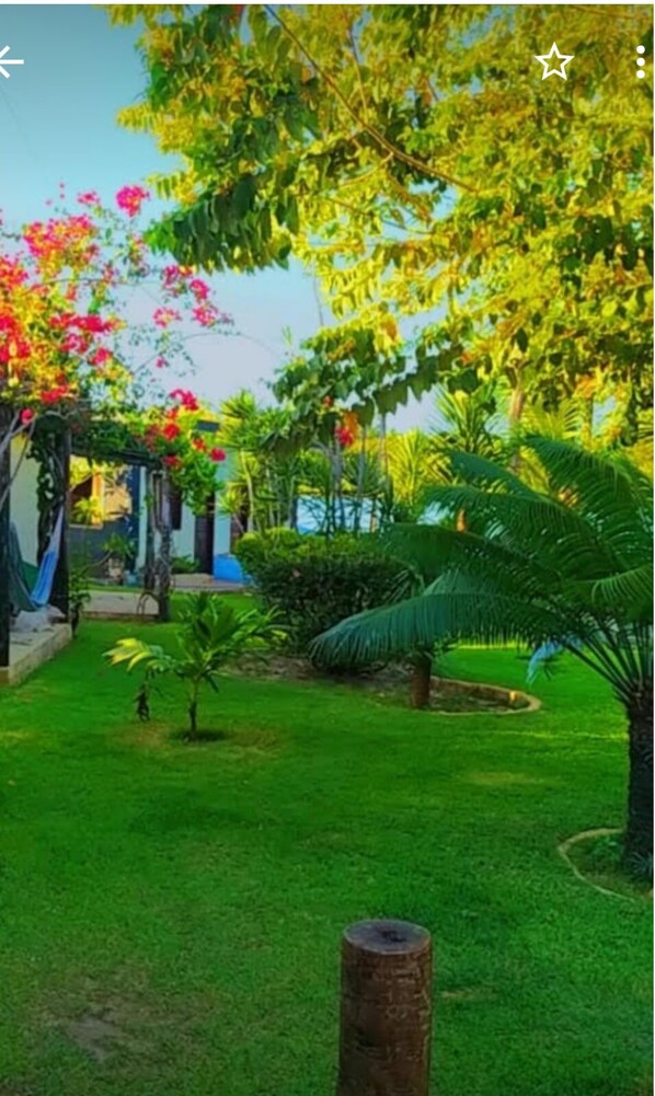 Property grounds - Villa Cristina Chalet Bouganville Matrimoniale + Singolo (Paracuru)