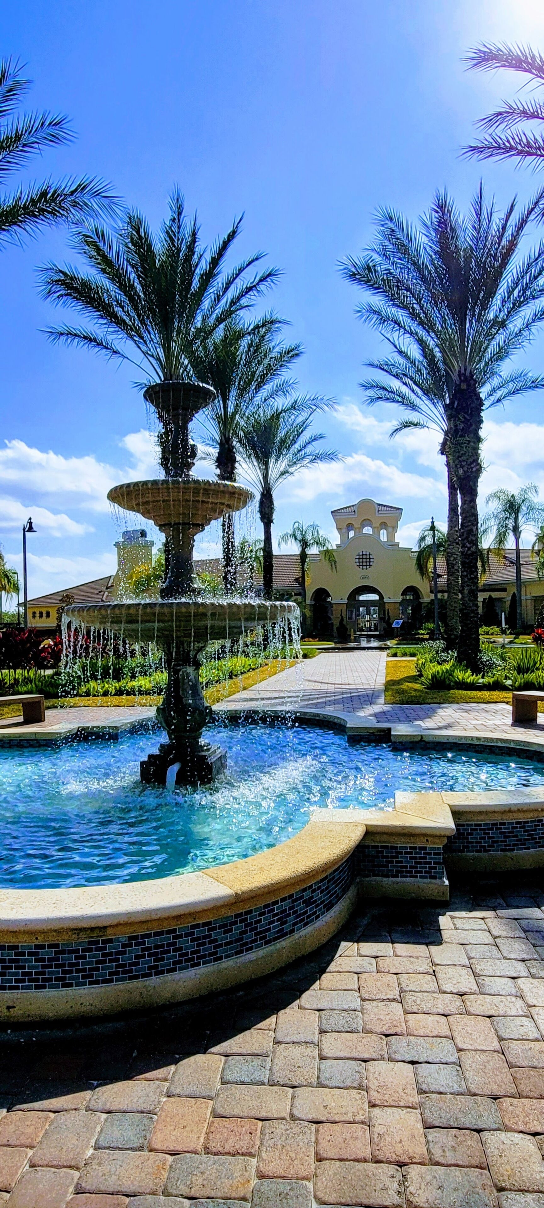 屋外プール、温水プール