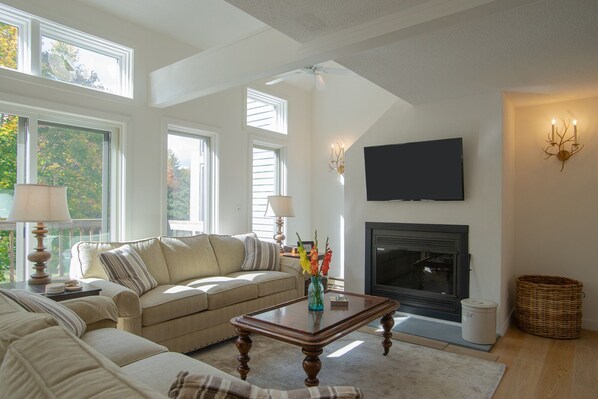 Smart TV, fireplace, video games, DVD player