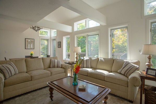 Smart TV, fireplace, video games, DVD player