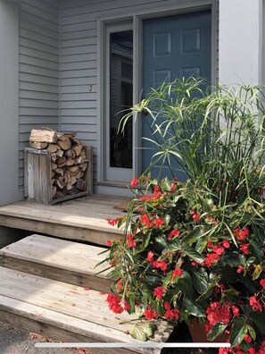 Enter a charming home with a warm welcome, featuring a cozy staircase and a beautiful potted plant.