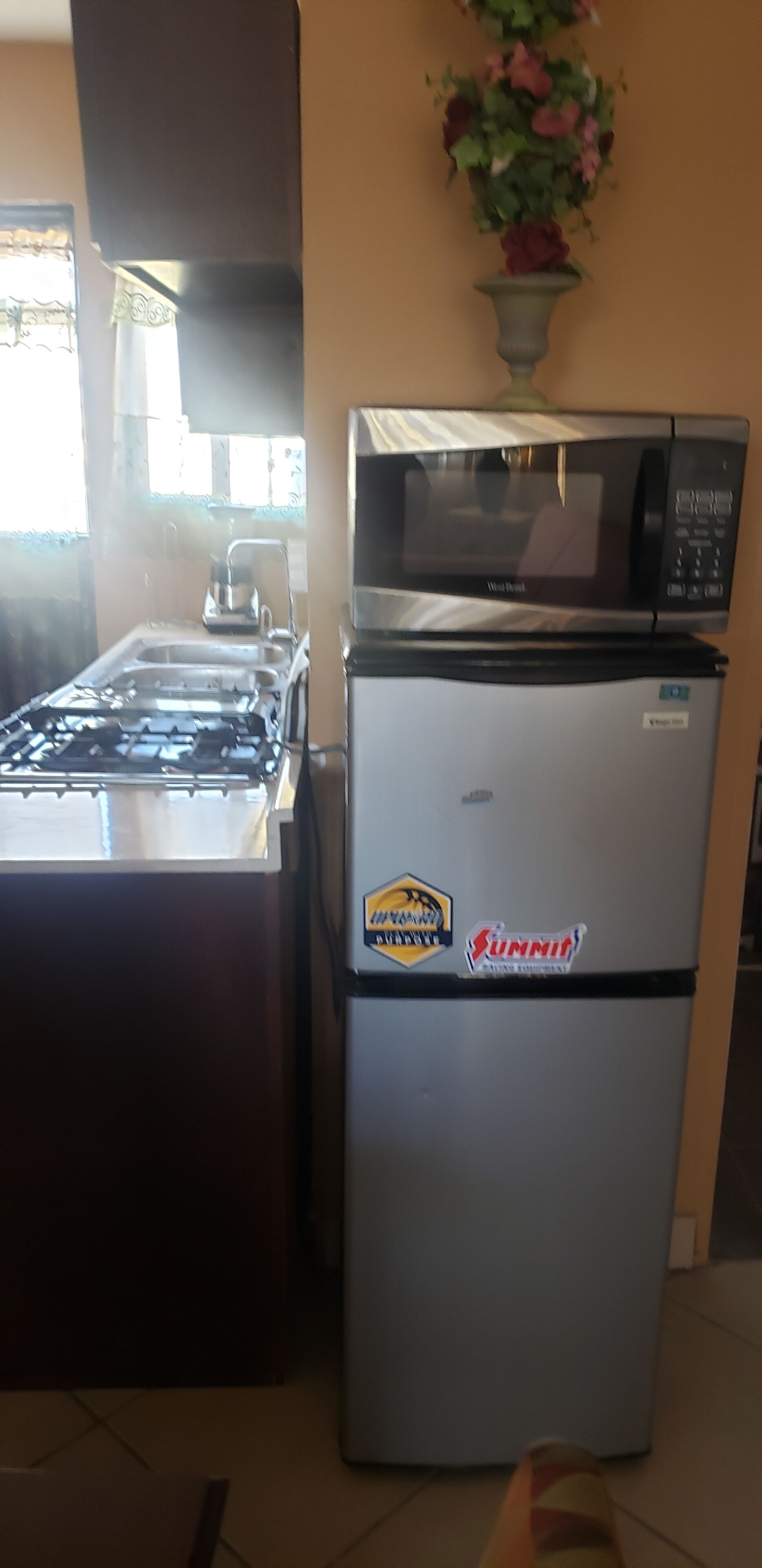 Basic Apartment | Private kitchen | Mini-fridge, microwave, oven, stovetop