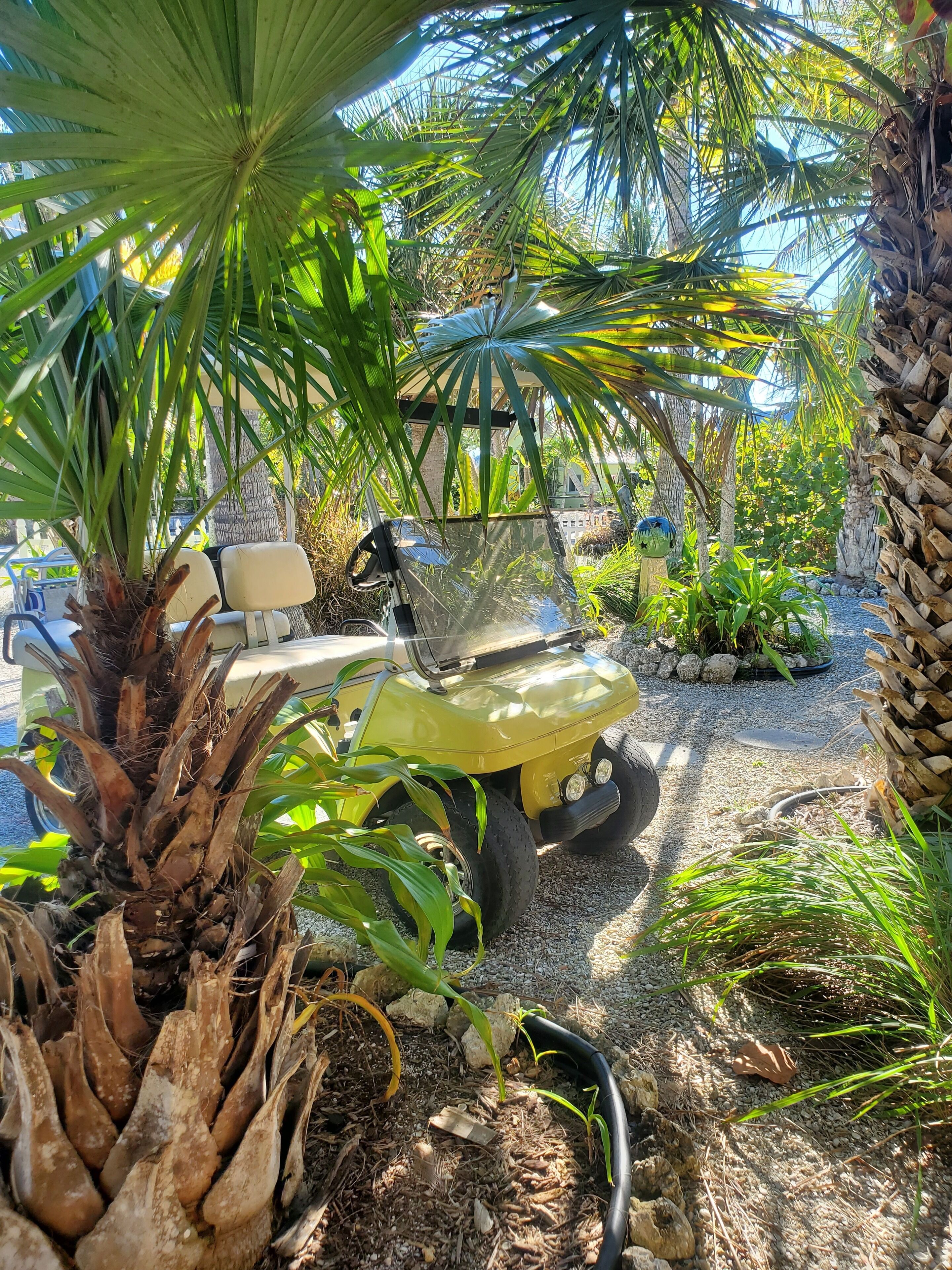 Un vehículo amarillo estacionado en un jardín con palmeras y un pabellón.
