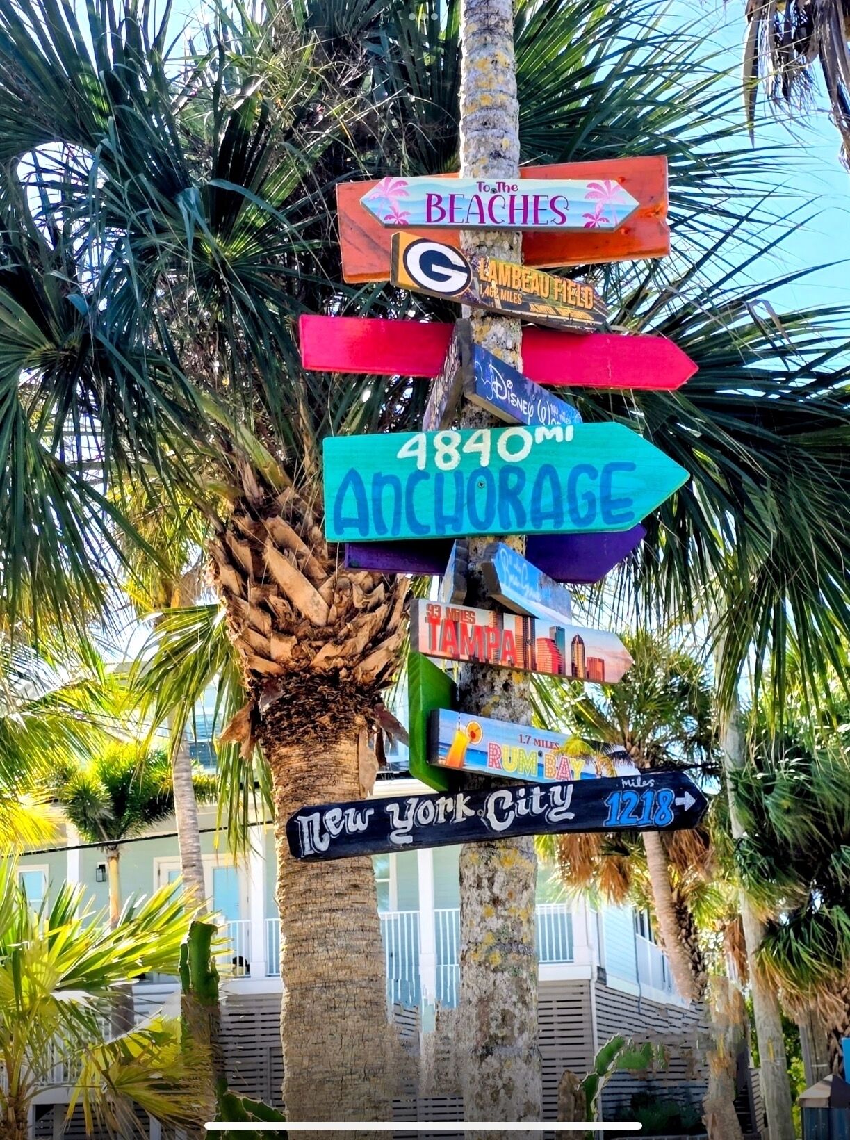 Una palmera con múltiples señales direccionales que indican diferentes destinos, como las playas, Anchorage y la ciudad de Nueva York.