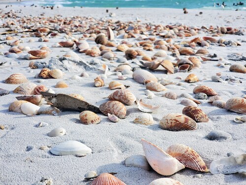 Enchanted Private Island Oasis Steps To Beach, Tropical Yard & Charm Filled Home