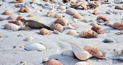 Enchanted Private Island Oasis Steps To Beach, Tropical Yard & Charm Filled Home