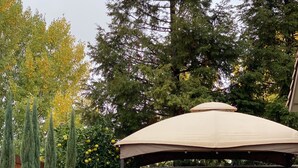 Una zona patio coperta con pavimento in cemento, circondata da un basso muro in mattoni, con mobili da esterno tra cui sedie e un tavolo.