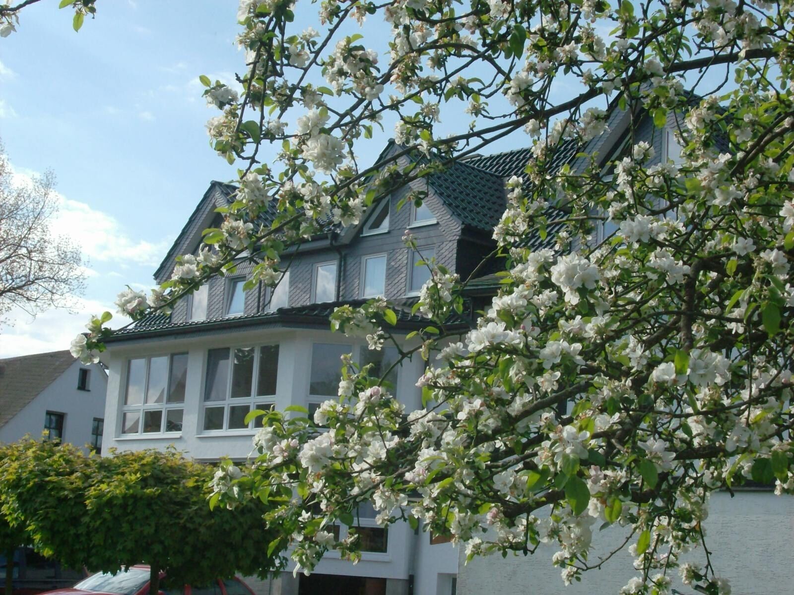 Pension & Ferienwohnung Schweinsberg, (Medebach), LHS 08826