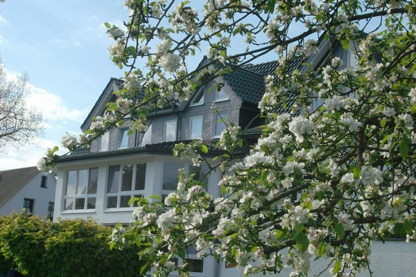 Pension & Ferienwohnung Schweinsberg, (Medebach), LHS 08826