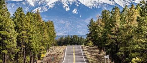 A road flanked by trees leading to a mountain range.