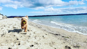 On the beach, sun loungers, beach towels