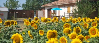 At the gateway to the Gers, Eden Farm's air-conditioned gîte