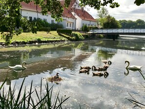 Overnatningsstedets område