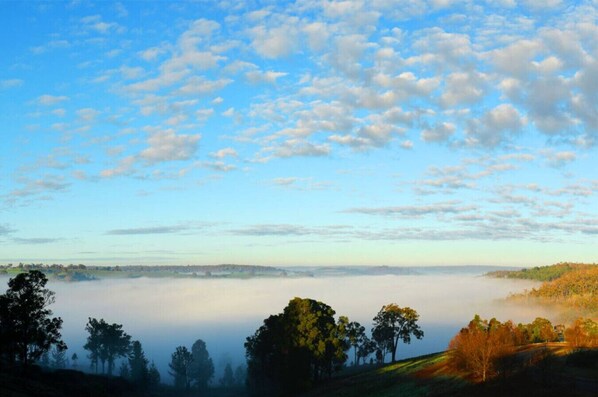 Un paysage caractérisé par un ciel dégagé, des arbres et un horizon brumeux.