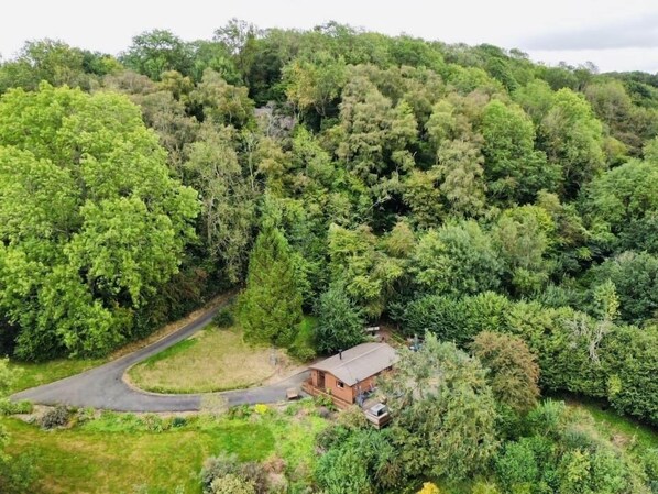 Une maison de campagne entourée d’une forêt dense, accessible par un chemin sinueux.