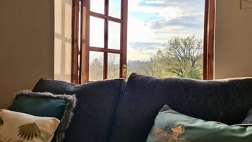 A room with a large window, a dark-colored sofa, and a decorative pillow with a dragon design.