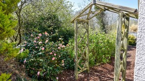 Una estructura de pérgola de madera en un jardín con flores rosadas en flor y diversos arbustos.