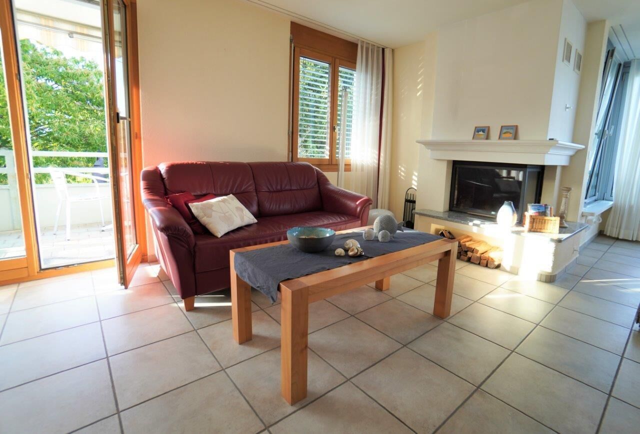 Televisor, llar de foc i oficines 