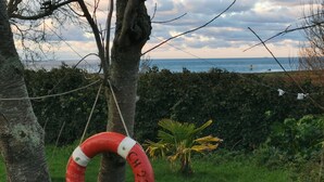 Un bozzolo di salvataggio legato a un albero in una zona erbosa, con vista sul mare.
