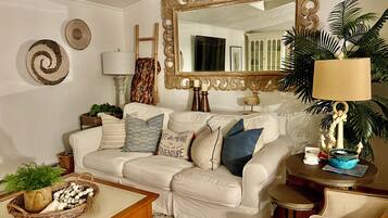 Smart TV, caminetto, libri