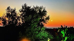 Una piscina con borde de piedra y escalones de acceso, rodeada de vegetación y un atardecer de fondo.