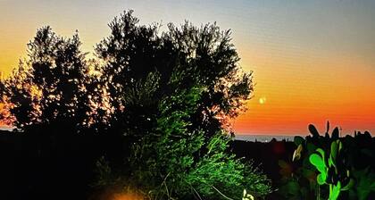 New - Villa Cornelia with pool. G. 2-room apartment. Sea view - olive groves.