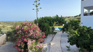 Un área de piscina con un sendero de piedra, rodeada de abundante vegetación y plantas florecientes.