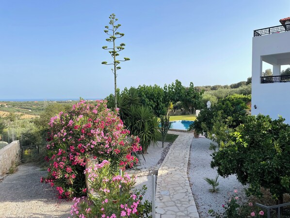 Un'area piscina con un vialetto in pietra, immersa nel verde e fiorita.
