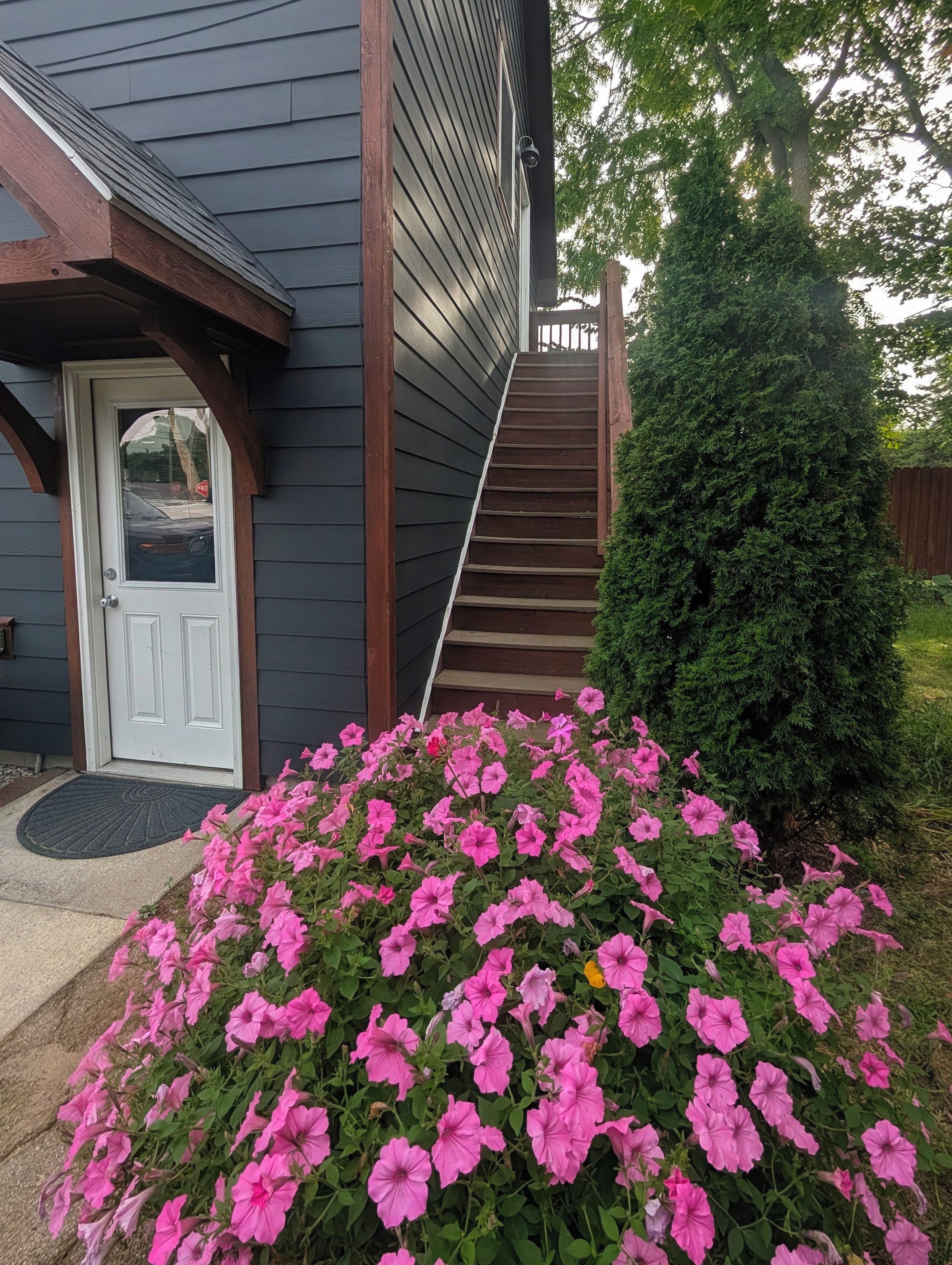 A house with a front door, a staircase leading to the entrance, and a large bush of pink flowers.