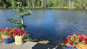 A wooden deck with potted plants and a lake.