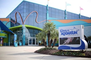 Property grounds - Cloud 9-er (Myrtle Beach)