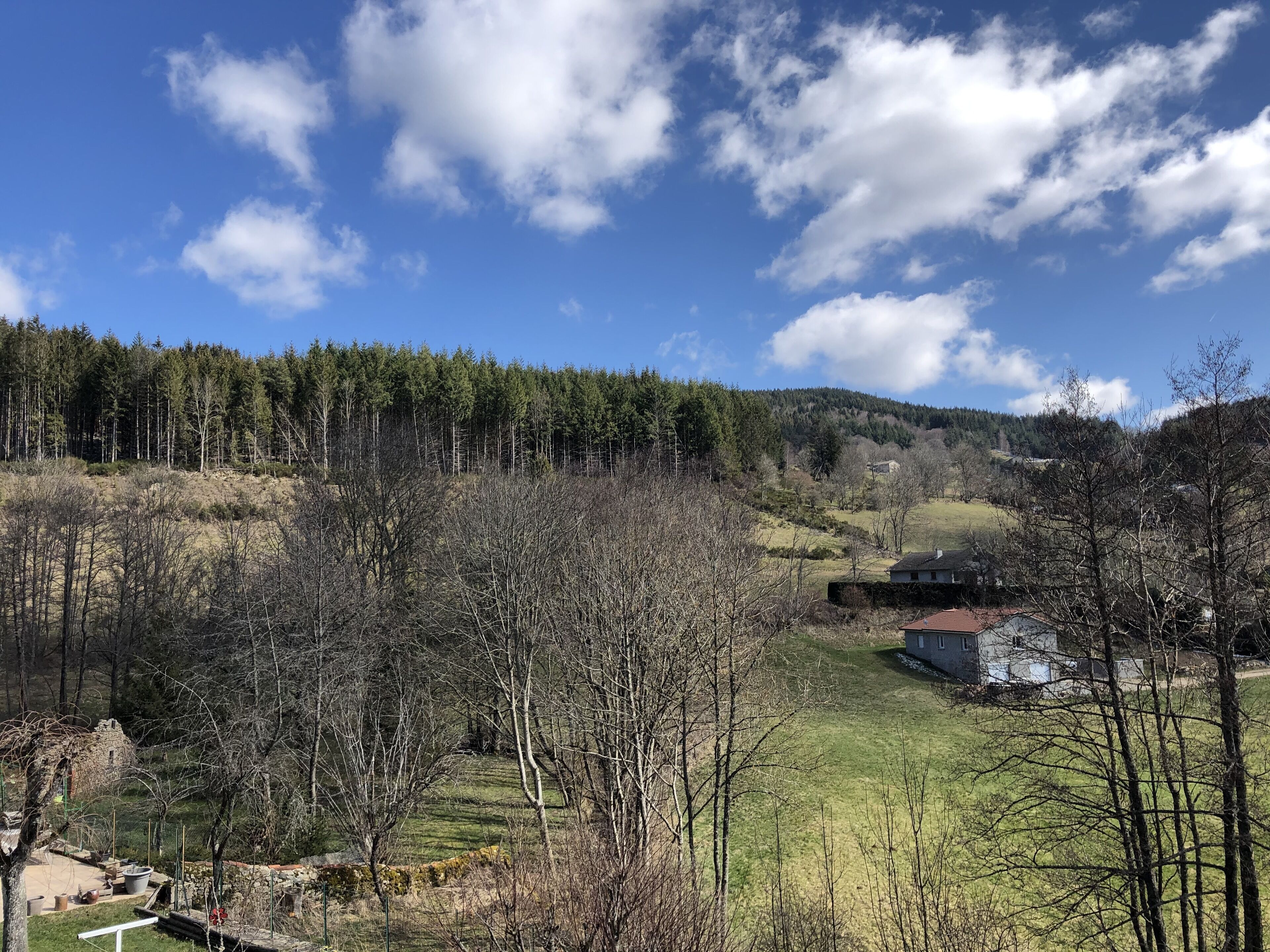 A rural landscape with a house surrounded by trees and a forest in the background.