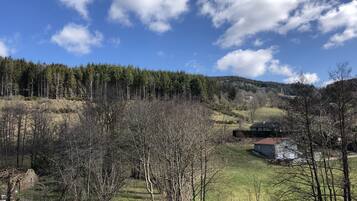 A rural landscape with a house surrounded by trees and a forest in the background.