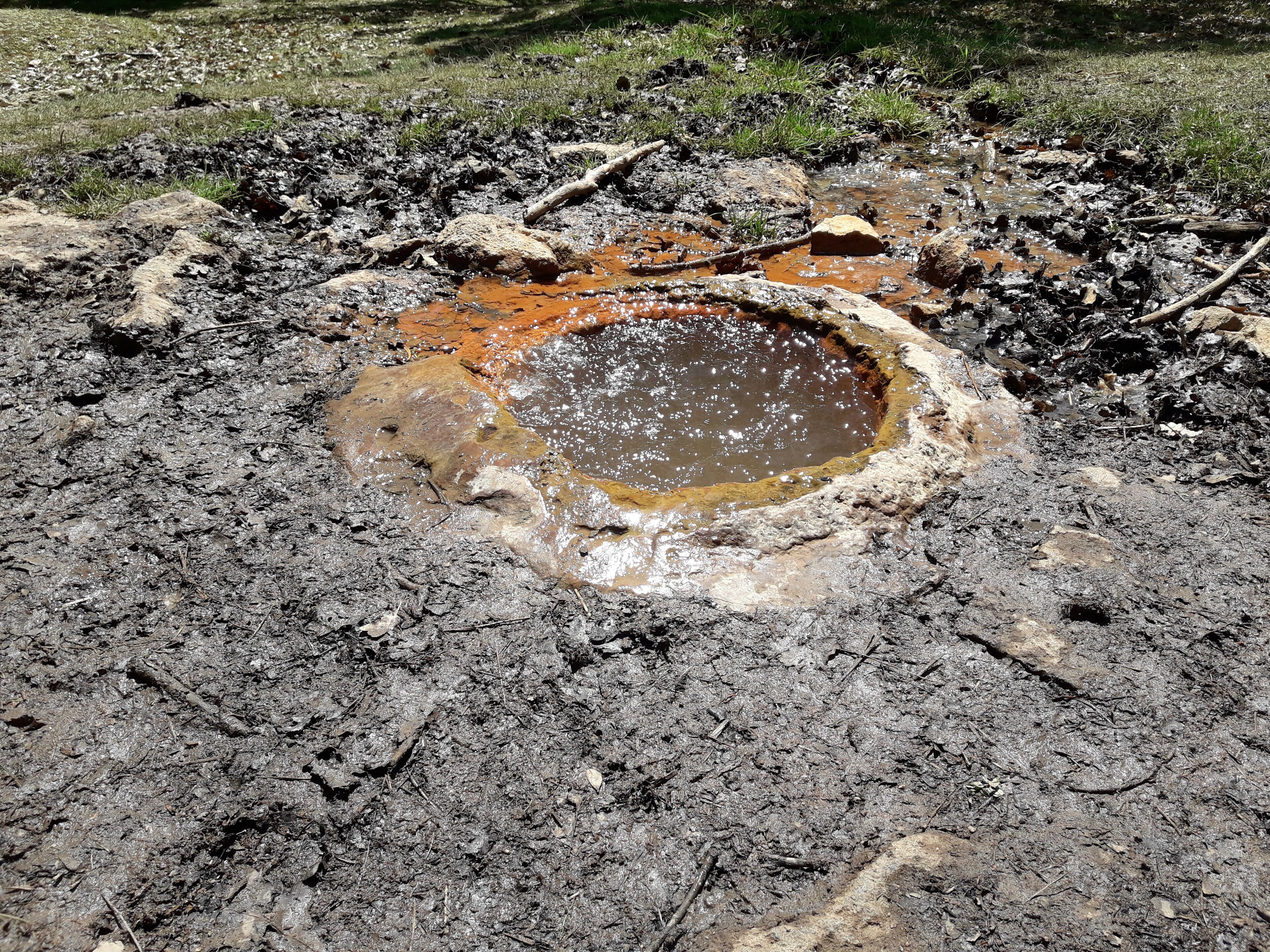 Un charco embarrado rodeado de terreno irregular y vegetación escasa.