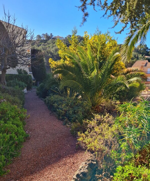 Un chemin de gravier traverse un jardin où l’on trouve différentes espèces de plantes et d’arbres.