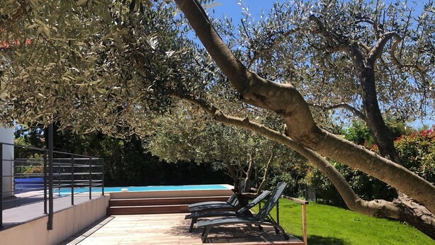A pool area with steps leading down to a pool, surrounded by trees and a grassy lawn. - Villa Coquelicot - Private swimming pool - Electricity terminal (Moussac)