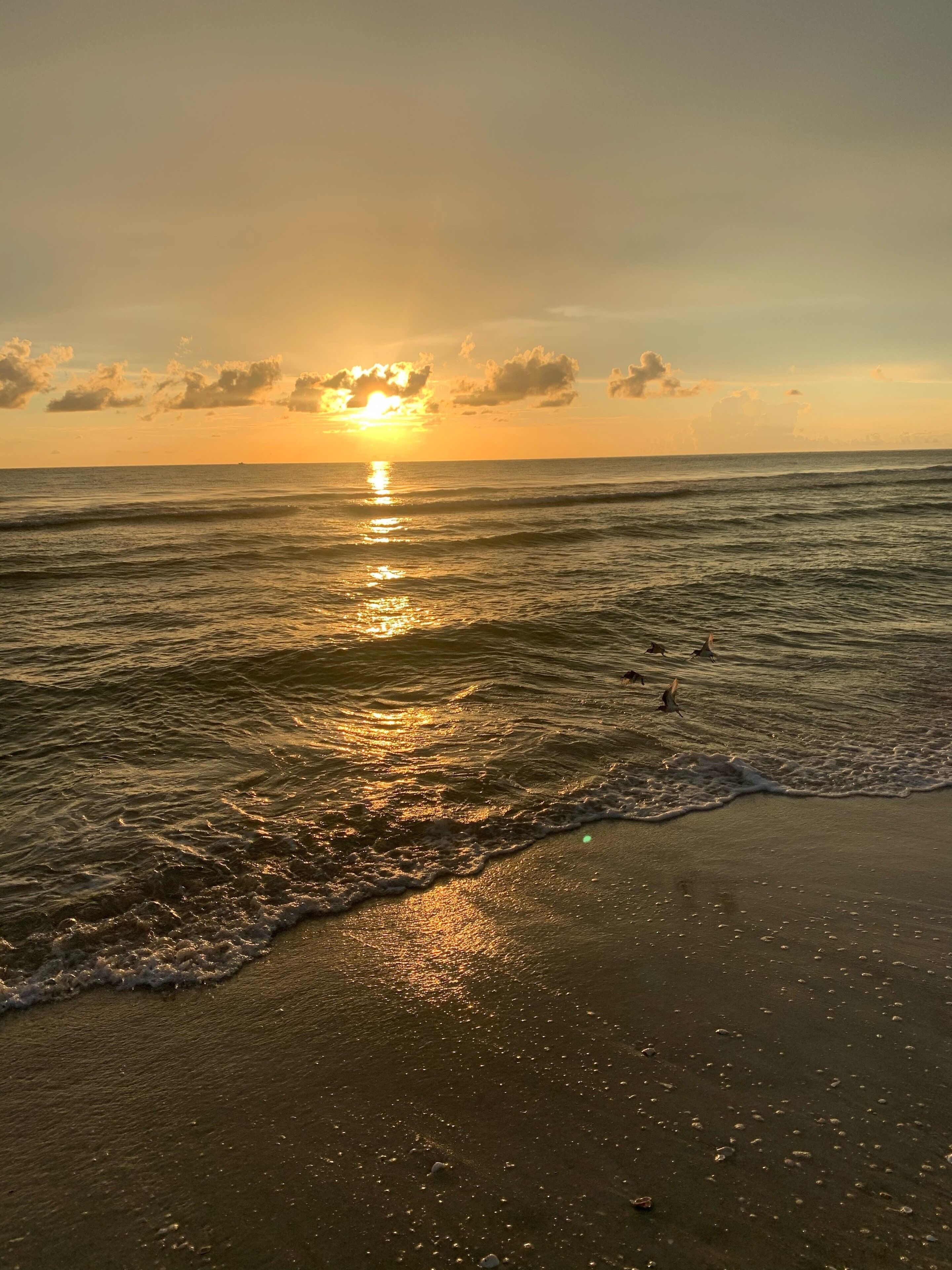 On the beach, sun loungers, beach towels