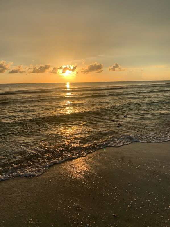 On the beach, sun loungers, beach towels