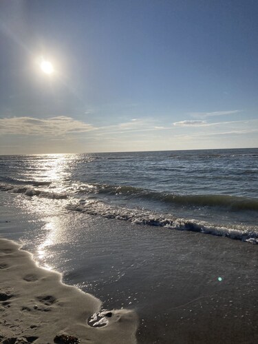 Holiday Chalet/Mobilelhome "Wüstenblume"