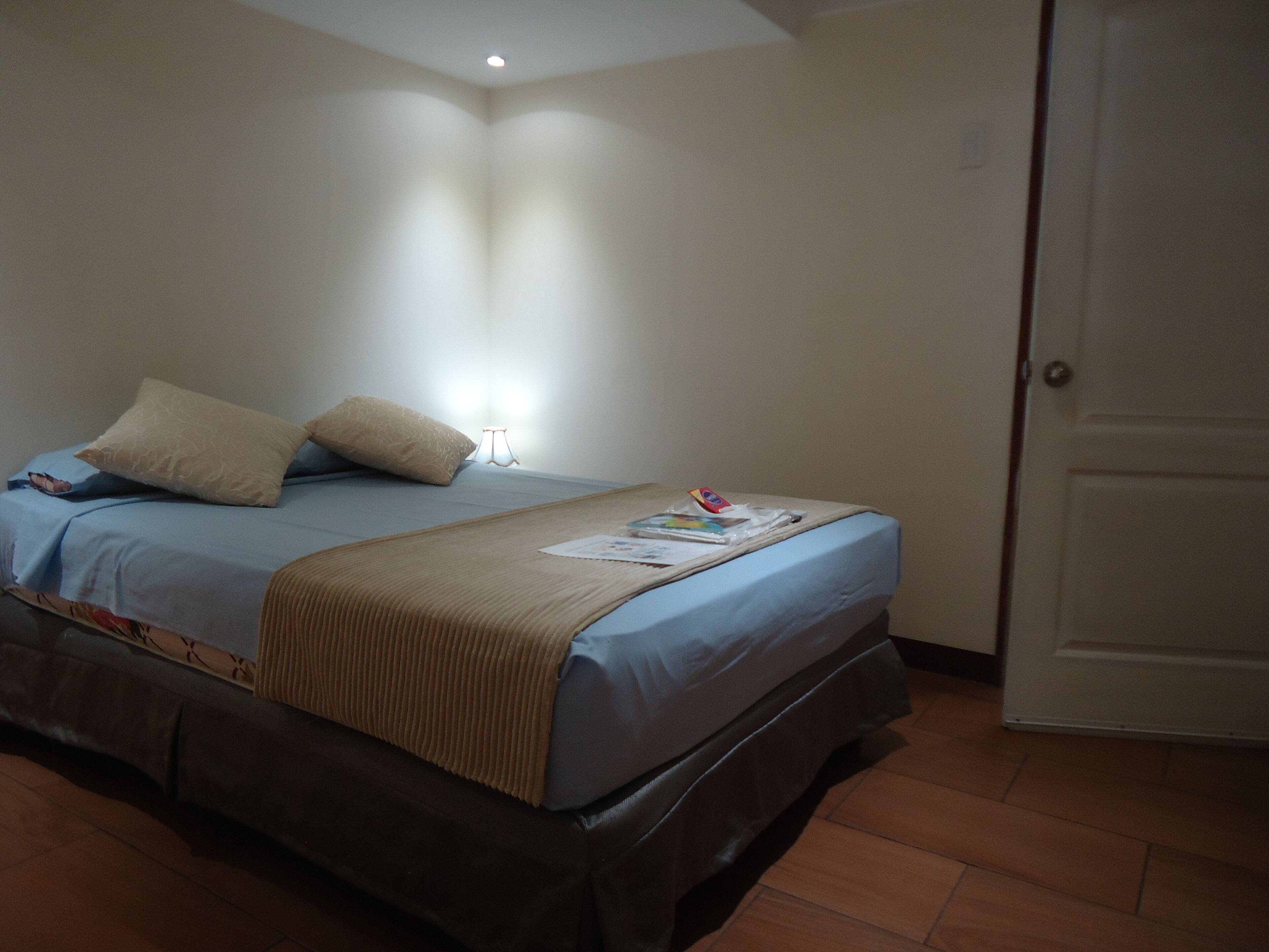 A bedroom with a bed, pillows, a bedside table, and a door.