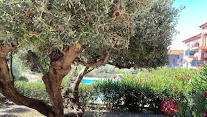 A garden with a large tree, a swimming pool, and a building in the background. - Apartment - Sleeps 3 &  swimming pool (Realmonte)