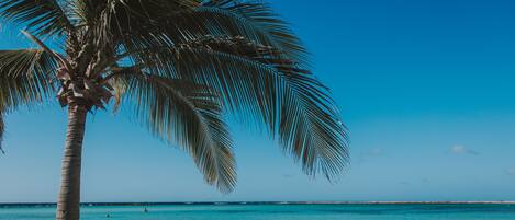 On the beach, beach towels