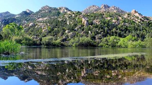 Un lac paisible dont les eaux reflètent clairement les montagnes et la végétation environnantes.