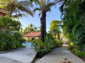 Property grounds - Tropical Jaco Beach House w/ Private Pool (Jacó)